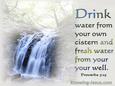 Proverbs 5:15 Drink Water From Your Own Cistern (gray) 